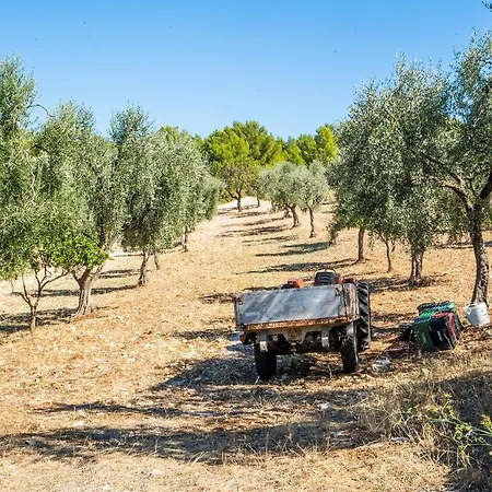 Bed & Breakfast Casa Colletta *